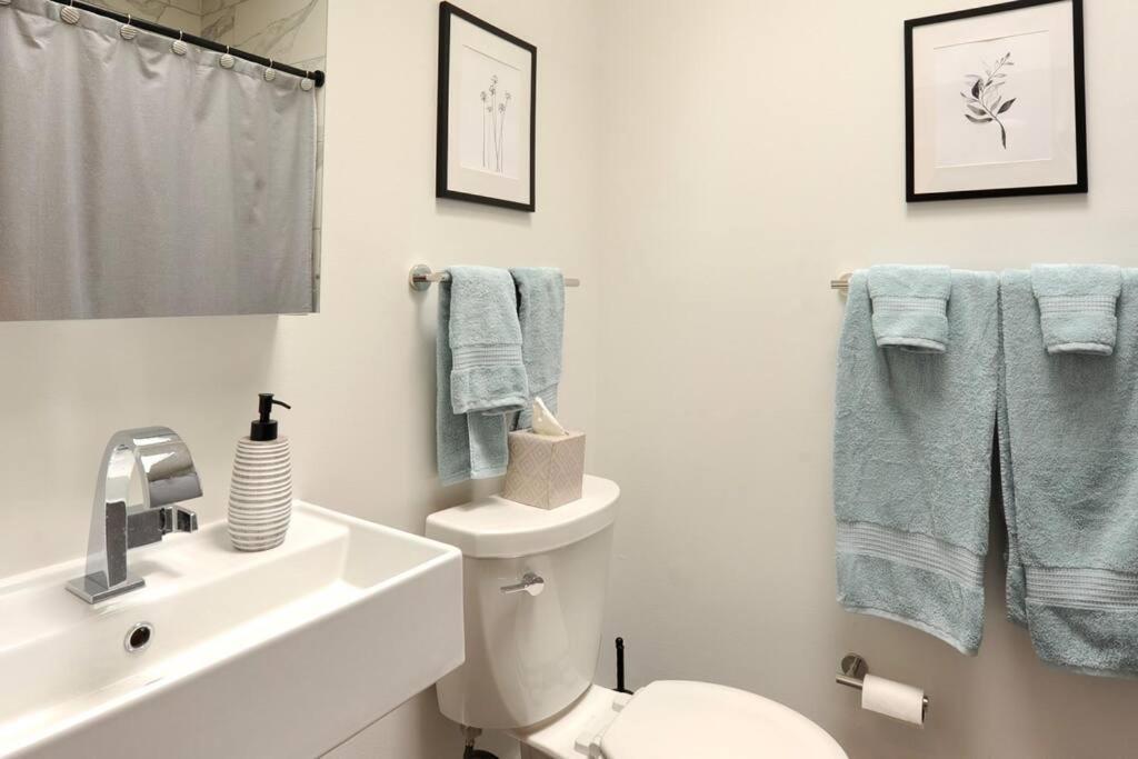Cherry Blossom Townhouse, Easy Dc Access Вашингтон Экстерьер фото